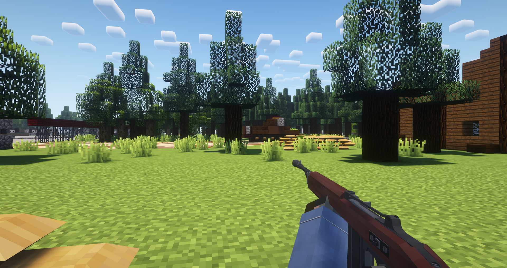 T3 Carbine